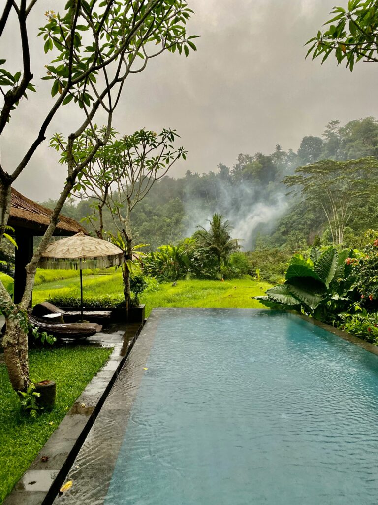 Piscina infinita en mitad de la naturaleza en Canggu