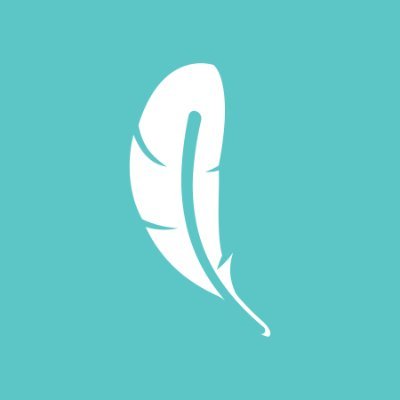 Logotipo de SafetyWing