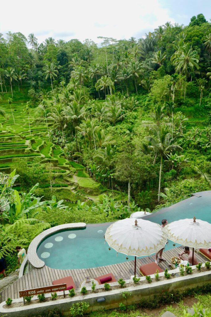 Resort escondido en la naturaleza con piscina, arrozales y palmeras en Canggu
