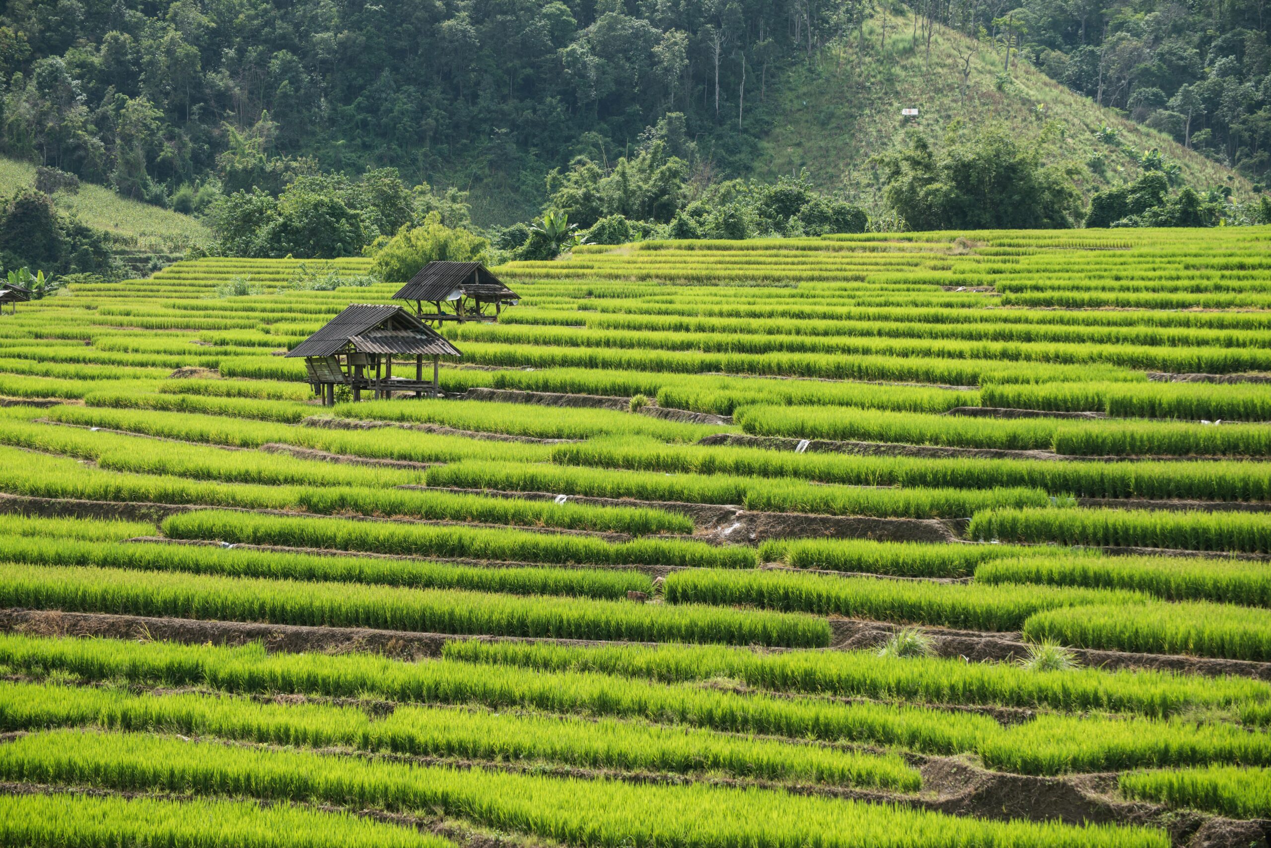 Chiang Mai, Tailandia